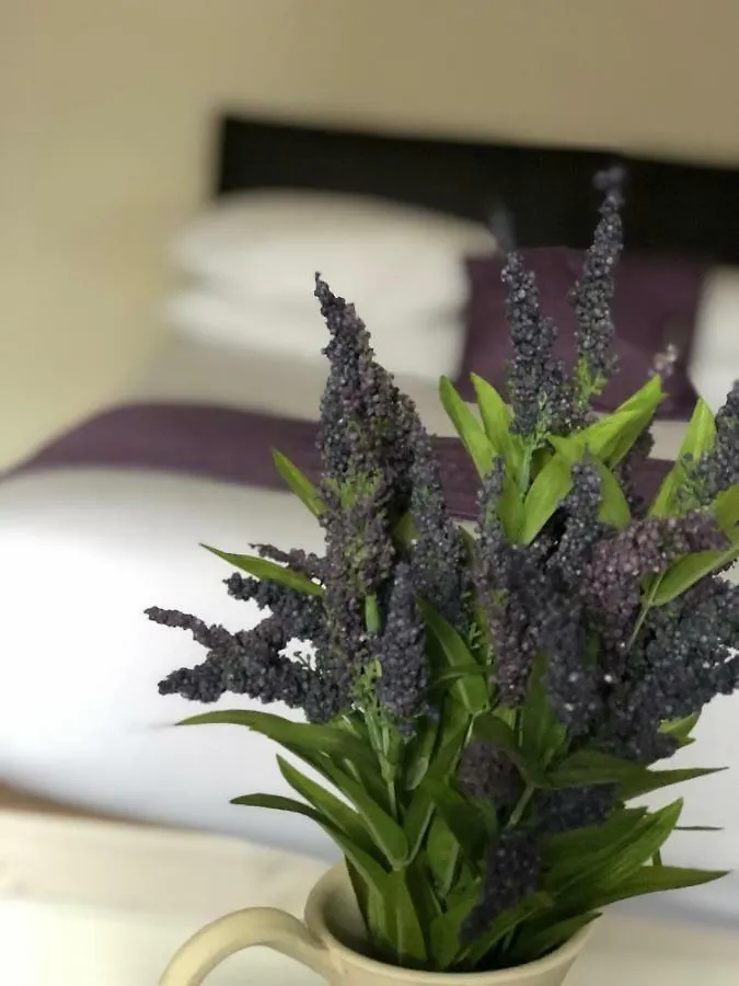 Norfolk Arms Hotel Sheffield United Kingdom